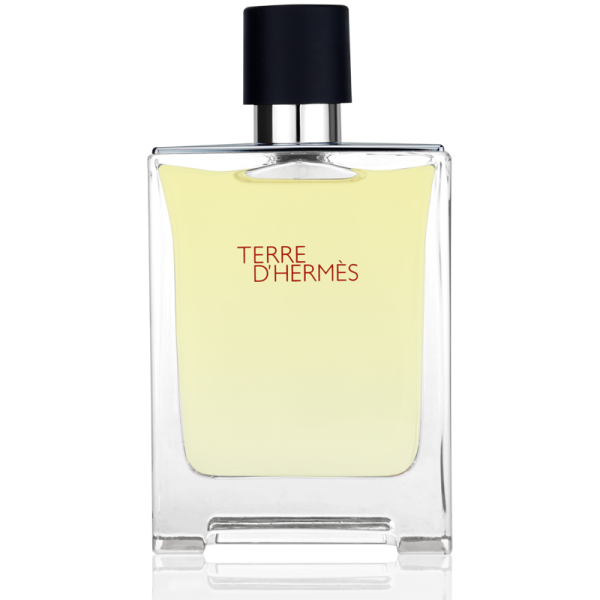 Hermès Terre d'Hermès Eau de Toilette 100ml